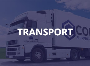 transport krajowy międzynarodowy